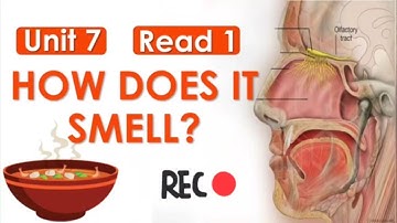 Std 11 Unit 7 Read 1 | How does it Smell? | Ankit sir