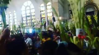 Palm Sunday 2017 of Quiapo Church
