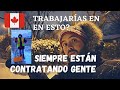 🇨🇦 TRABAJAR en CANADÁ SIN IDIOMA. Estudiantes y recién llegados 🍁