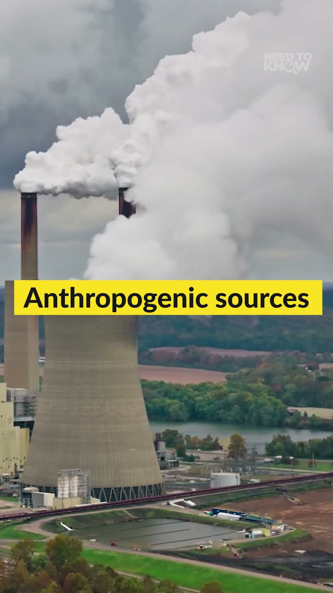 Gaano kahalaga ang carbon sinks? | Need to Know