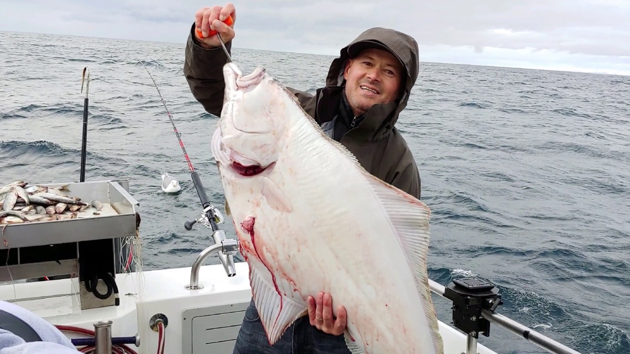 Halibut Fishing in Seward Alaska 8.4.2018 YouTube