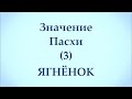 Значение Пасхи (3). ЯГНЁНОК.