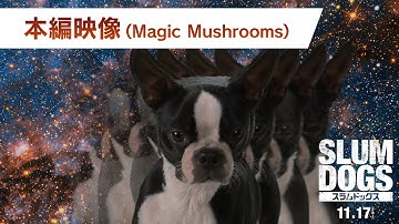 映画『スラムドッグス』吹替版 本編映像「Magic Mushrooms」＜11月17日(金)公開＞