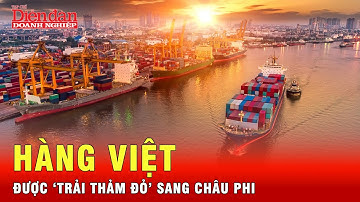 Việt Nam tìm cơ hội xuất khẩu sang châu Phi khi rủi ro gia tăng tại thị trường truyền thống