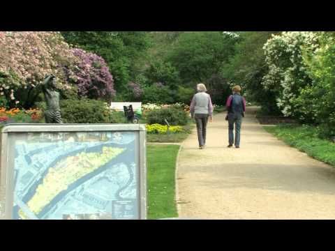 potsdam-sehenswürdigkeiten:-freundschaftsinsel-mit-karl-förster-garten