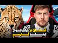 سریع ترین ماشین مسابقه ی دنیا در مقابل یوزپلنگ مستربیست دوبله فارسی سریع ترین ماشین مسابقه ی دنیا در مقابل یوزپلنگ مستربیست دوبله فارسی