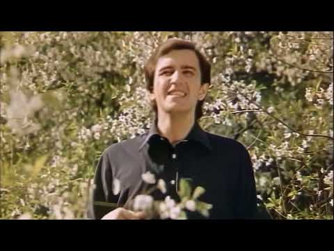 Назарій Яремчук Запитай у серця 1981 HD 1080 P широкий формат