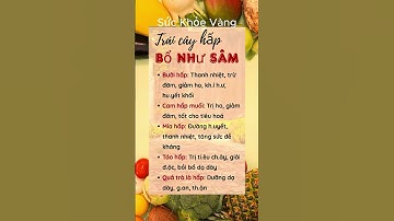 Bí Quyết Giữ Gìn Sức Khỏe Toàn Diện - Sức khỏe vàng #dsdaiminh #dsngocminh #nhathuocdaiminh #shorts