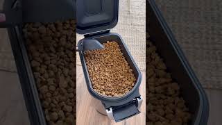 Backlog Video 7199647839616634145