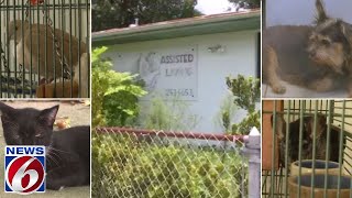Daytona Beach animal rescue needs help adopting out pets amid eviction