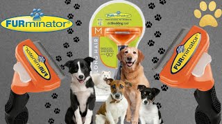 Furminator dog hair remover brush, let's put it to the test!