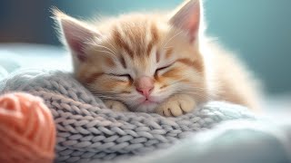 Calming Music for Anxious Cats: Soothing Sounds for Deep Relaxation and Sleep by Purrful Sounds 277 views 6 days ago 3 hours, 31 minutes