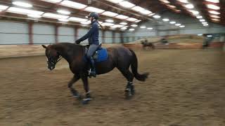 VID_20191007_175902 Rebekka & Røde part 3