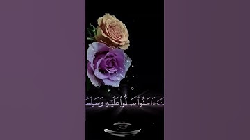 صباح الخير 💜 اجمل حالات واتس اب مقاطع قصيره💜 قران كريم ان الله وملائكته يصلون على النبي💜 بدون حقوق