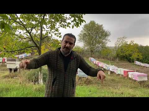 2.Katta Arı Kışlatma
