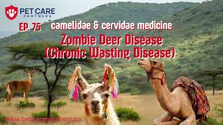 Ep 75 Zombie Deer Disease Chronic Wasting Disease In Camelidae & Cervidae