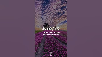🎙️| #خالد_الجليل 📖| #سورة_الفرقان •—#الله #قران #quran #quranms0_0