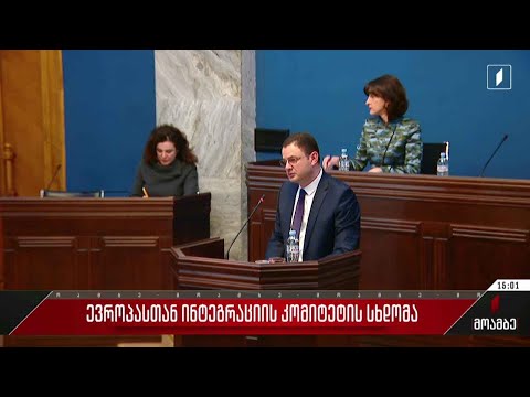 ევროპასთან ინტეგრაციის კომიტეტის სხდომა