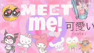 MEET ME! a quick introduction to the channel.