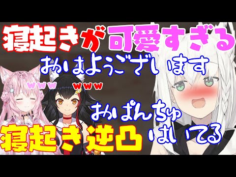 【寝起き逆凸】寝起きが可愛すぎるキツネ【白上フブキ】