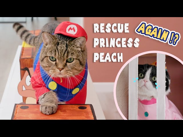 Super Mario Cat Save Princess Peach class=