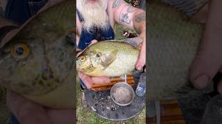 Look at the size of this fish