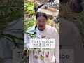 【全話イッキ見🌱】珍奇植物ドラマ『変態植物倶楽部』フルで配信中！#shorts #ドラマ #一ノ瀬ワタル#ひょうろく#悠木碧