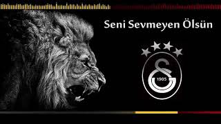 Galatasaray Marşi Seni̇ Sevmeyen Ölsün