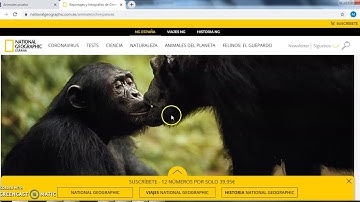 creando las subpáginas en google Sites