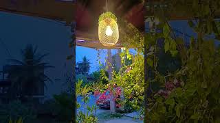 শান্তি🥰🌿(Peace)#peace #peaceful #video #youtubeshorts #shorts #trending #view