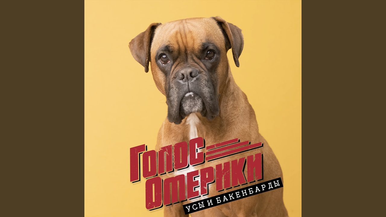 Усы и бакенбарды - YouTube