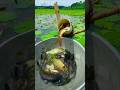 Really Amazing Plastic Pipe Fishing Challenge ✅#fish #fishvideo #catching  #villagelife