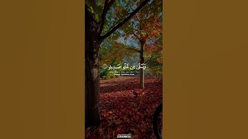 وَاسْتَفْتَحُوا وَخَابَ كُلُّ جَبَّارٍ عَنِيدٍ #القارئ_محمد_اسبيعان