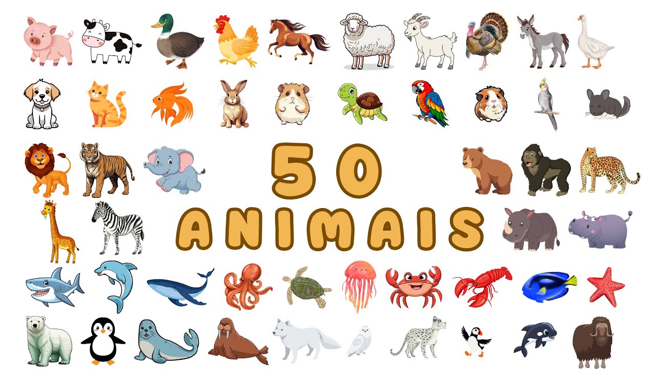Descobrindo e aprendendo 50 animais | Educação Infantil