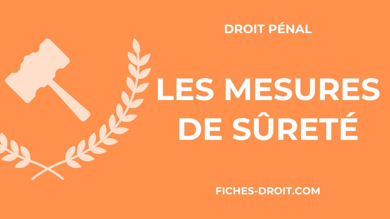 Les mesures de sûreté en droit pénal