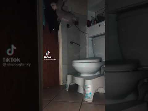 ضصثقفغعهخحجشسيبلاتنمكةظطذدزروى