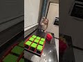 Не в этот раз — Хеппи Мил 😂😂 #рекомендации