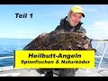 Heilbutt-Angeln in Norwegen Teil 1 (Spinnfischen & Naturköder im flachen Wasser) by Stefan Seuß