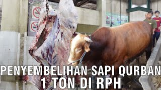 Penyembelihan Sapi Qurban 1 Ton Di RPH