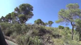 lance a perdiz salvaje