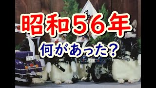 Nostalgic Showa Memories! What Happened and What Was Trending in 1981