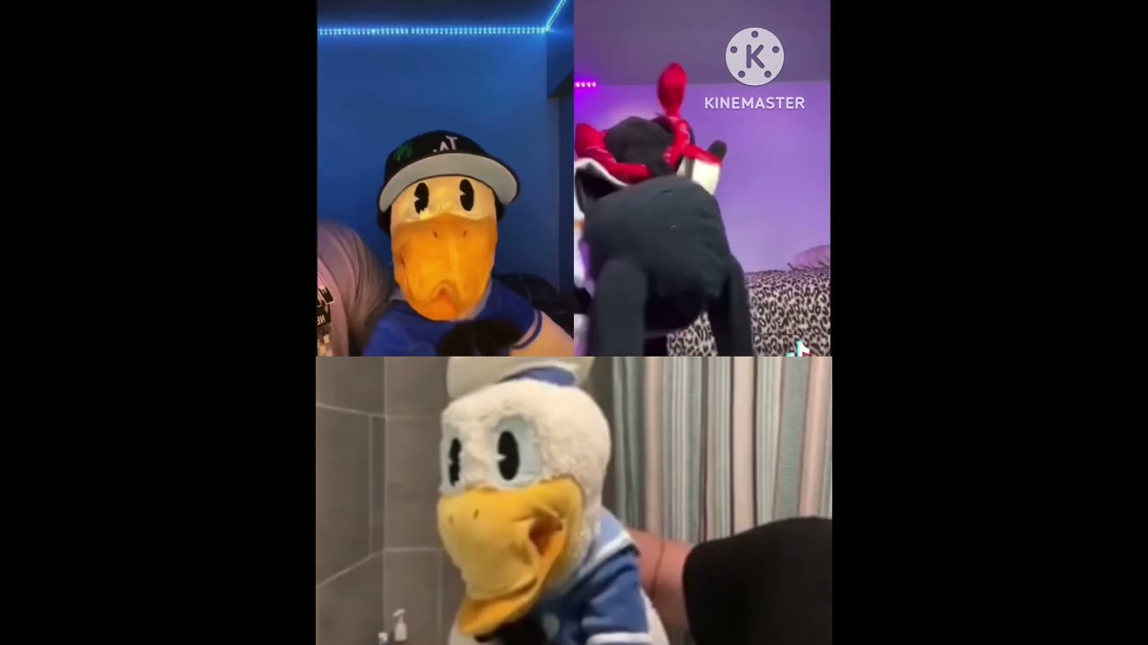 DonaldDucc Donald Thinks That Hates Hood Goofy