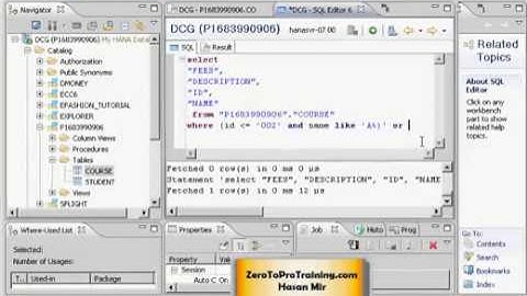 SAP HANA Studio Tutorial 7 - Using Multiple Conditions in the WHERE Clause