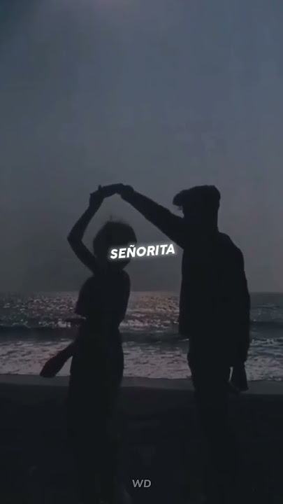 SEÑORITA | Aesthetic | - English Song Whatsapp Status Lyrics video