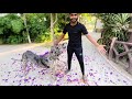 Zoo Mai bohat Bara Dog Ly ay | Multi Zoo