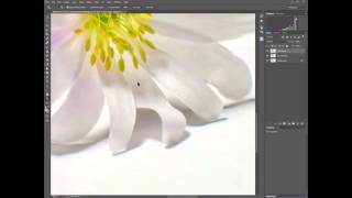 Spring Blossom - Processing from start to finish screenshot 2