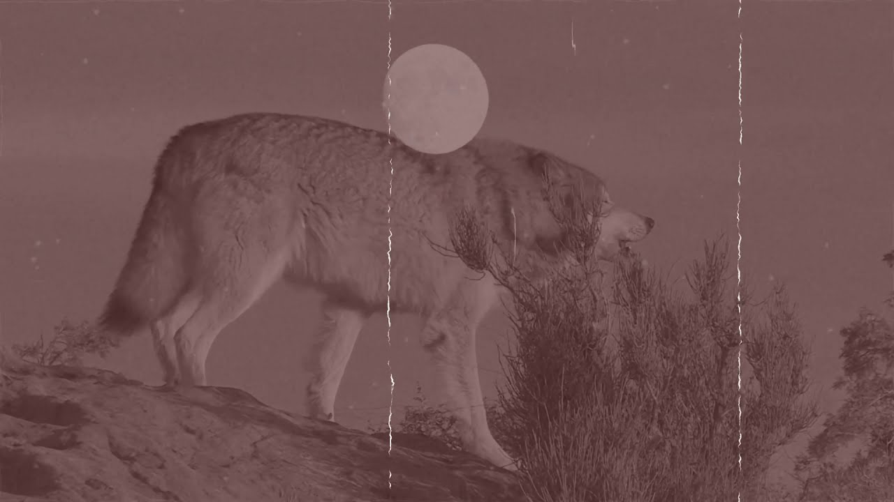 Arachnae - Skoll & Hati (Lyric Video)