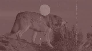 Download Lagu Arachnae - Skoll \u0026 Hati (Lyric Video) MP3