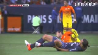 Zlatan Ibrahimovic - The Beginning Psg 2012 Hd