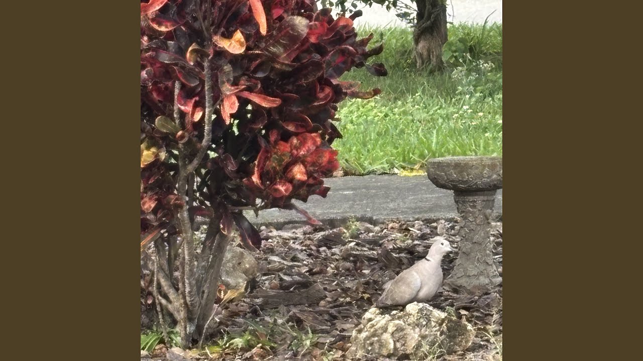 what are we running to?